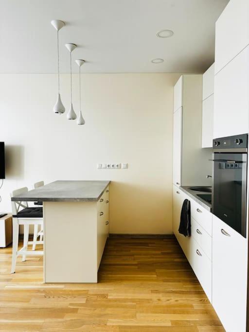 Apartment Jauki Viesnage Ozo Parke Wilna